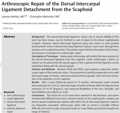 Arthroscopic Repair of the Dorsal Intercarpal Ligament Detachment from the Scaphoid - L. Merlini C. Mathoulin / 2020
